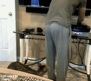 bite butt gif